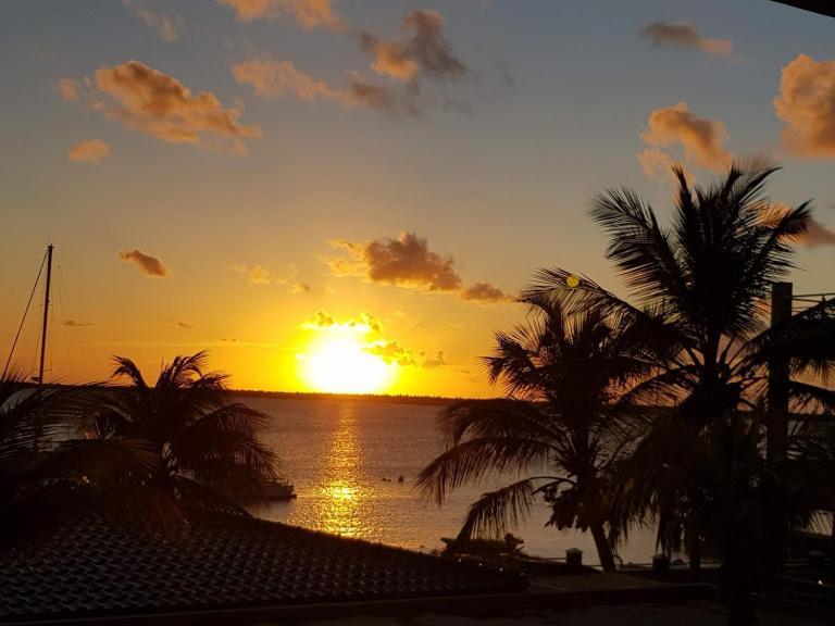 Bonaire Seaside Apartments Kralendijk na wyspie Bonaire Zewnętrze zdjęcie